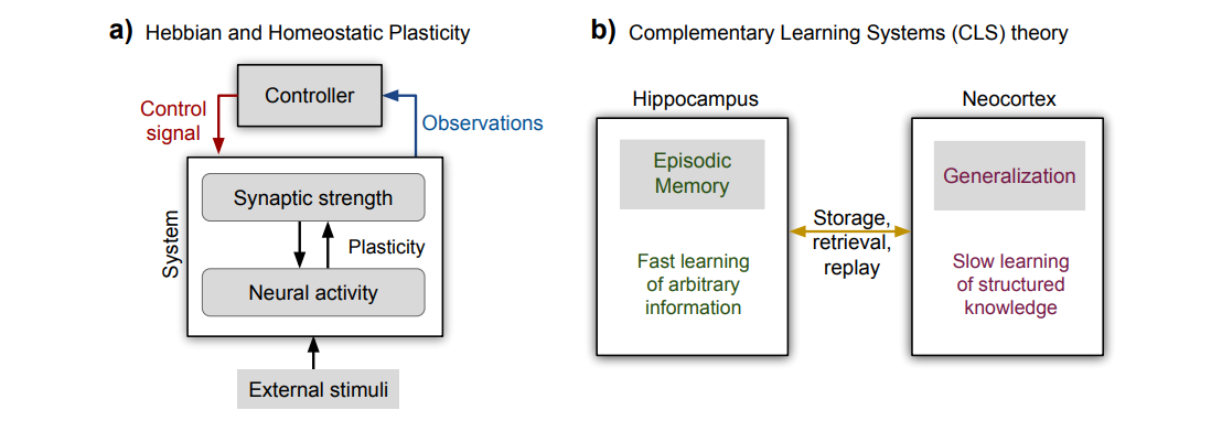 Schematic view of two aspects of neurosynaptic adaptation: a) Hebbian learning with homeostatic plasticity as a compensatory mechanism that uses observations to compute a feedback control signal (Adapted with permission from Zenke, Gerstner &amp; Ganguli (2017)). b) The complementary learning systems (CLS) theory (McClelland et al. 1995) comprising the hippocampus for the fast learning of episodic information and the neocortex for the slow learning of structured knowledge.